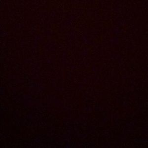 Meet your Posher, Bill